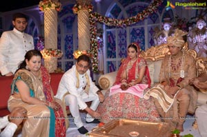 Ashish Ravisha Wedding Reception