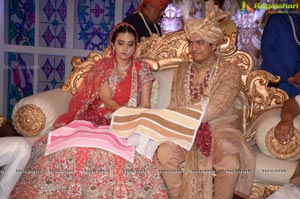 Ashish Ravisha Wedding Reception