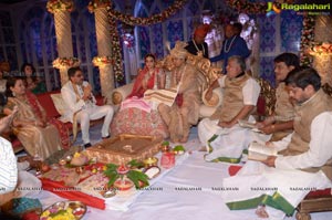 Ashish Ravisha Wedding Reception