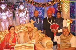 Ashish Ravisha Wedding Reception