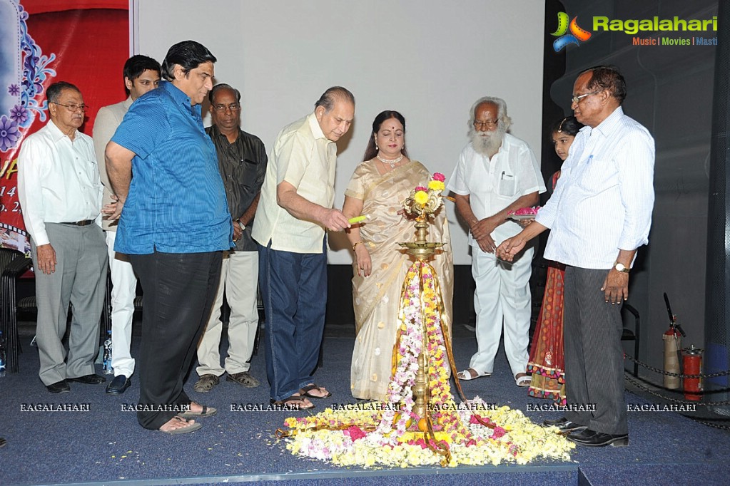 Bapu Film Festival 2014 Press Meet