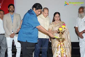 Bapu Film Festival