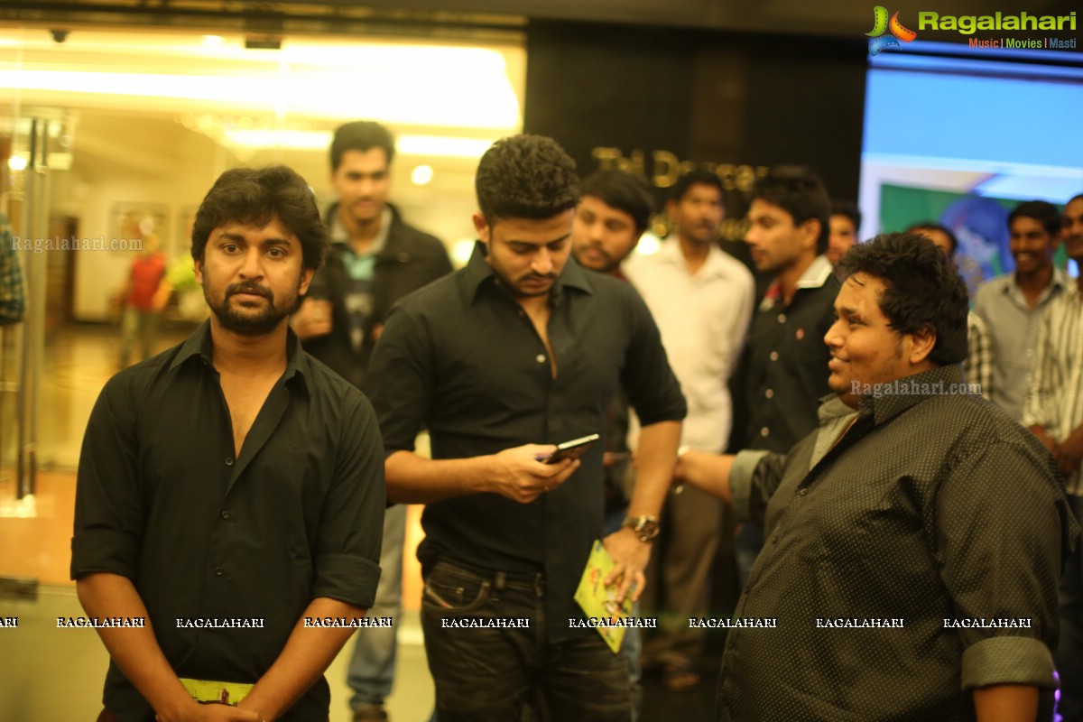 Chocolate Boy 3 Years Completion Success Party