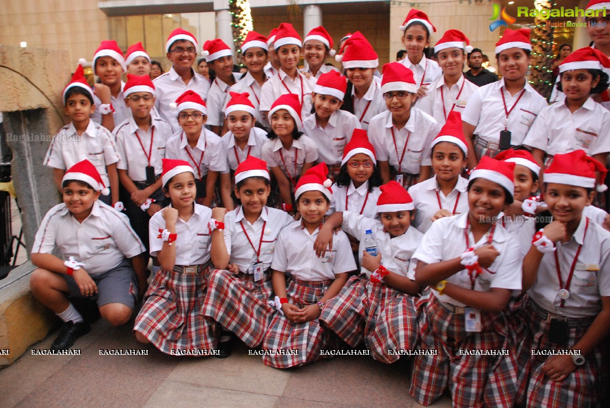 Christmas Tree Lightning Ceremony 2014 at Hotel Novotel, Hyderabad