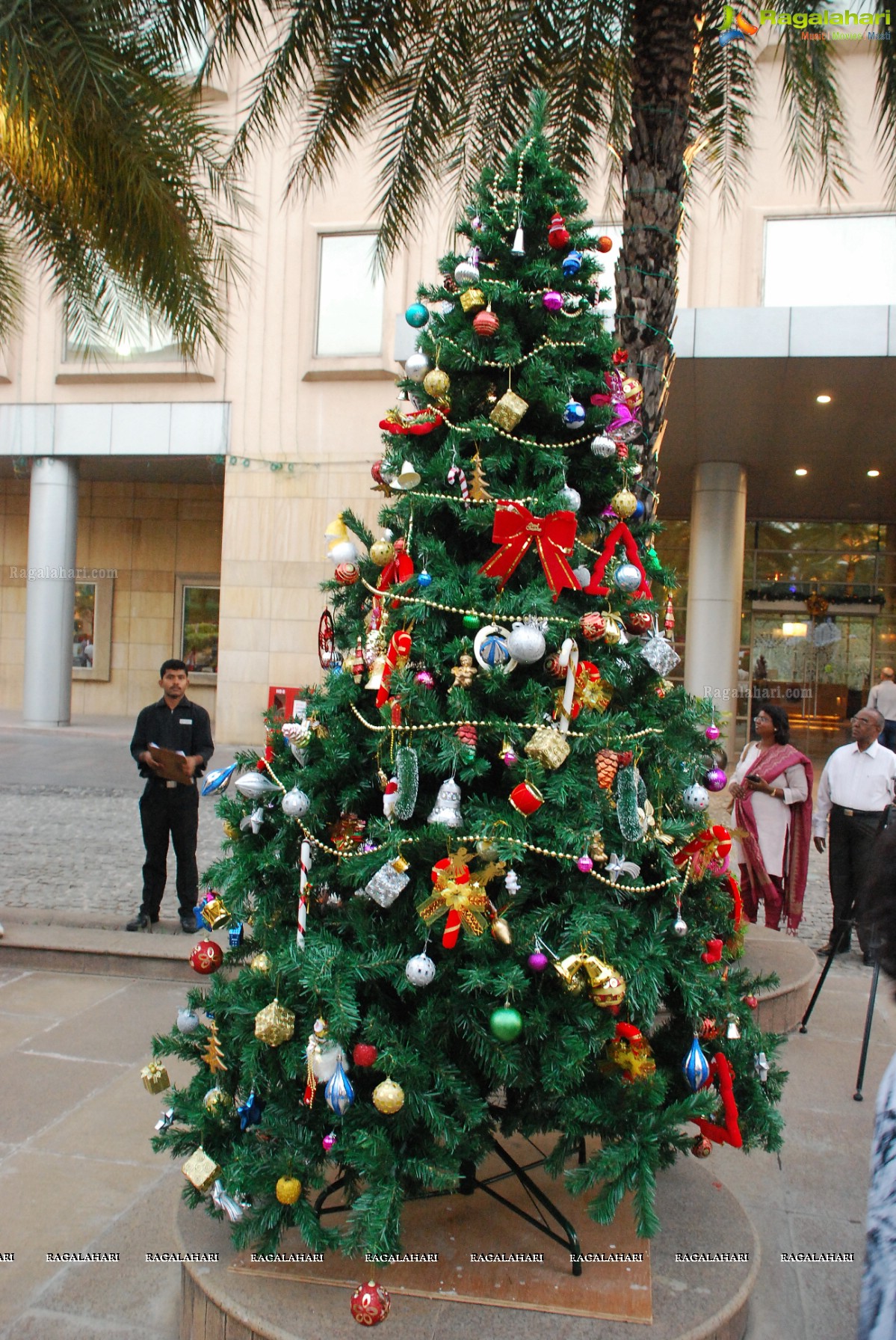 Christmas Tree Lightning Ceremony 2014 at Hotel Novotel, Hyderabad