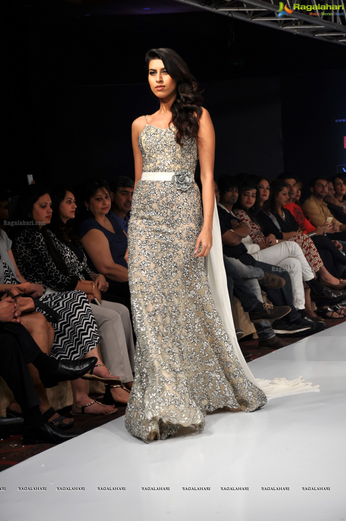 Kingfisher Ultra Hyderabad International Fashion Week Season 4 (Day 2)