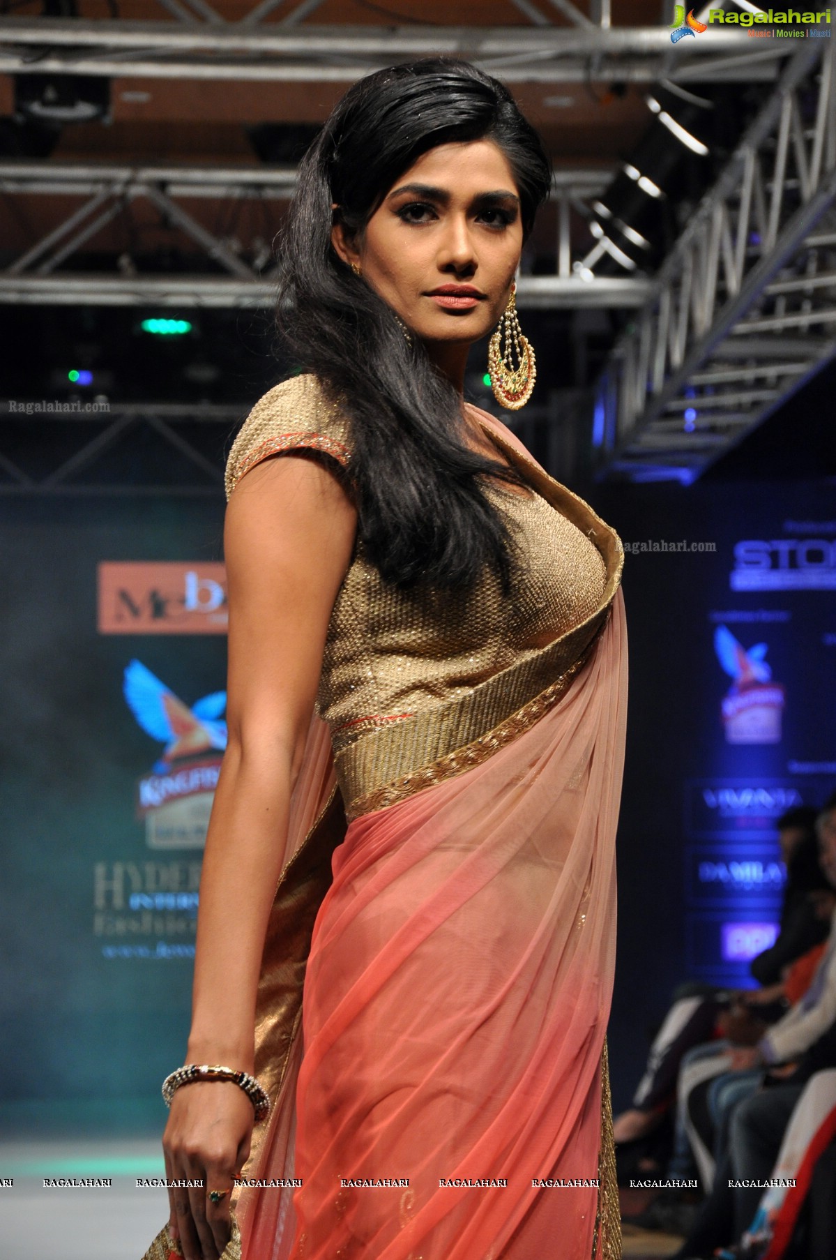 Kingfisher Ultra Hyderabad International Fashion Week Season 4 (Day 3)	