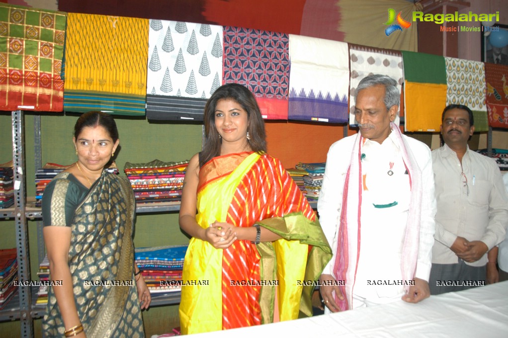 Geethanjali Thasya launches Pochampally IKAT Art Mela in Hyderabad