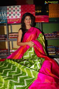 IKAT Art Mela