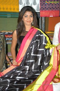 IKAT Art Mela