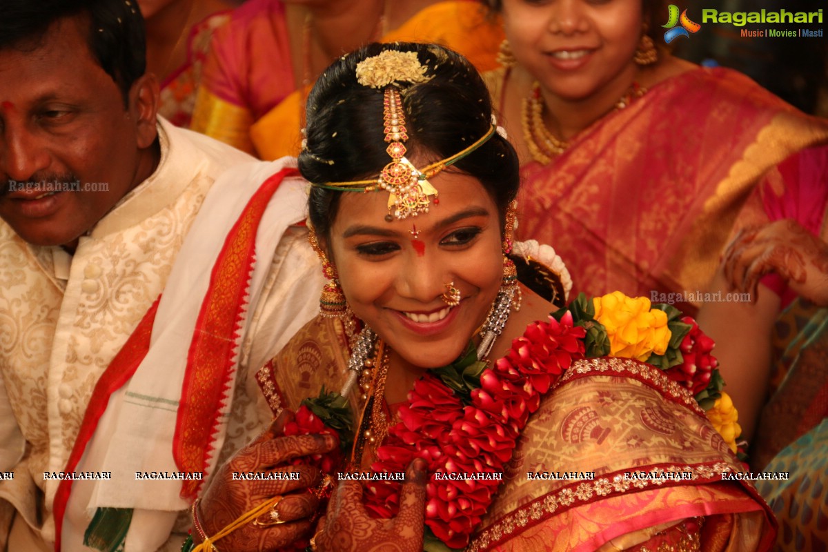 Pranith-Pranitha Wedding Celebrations