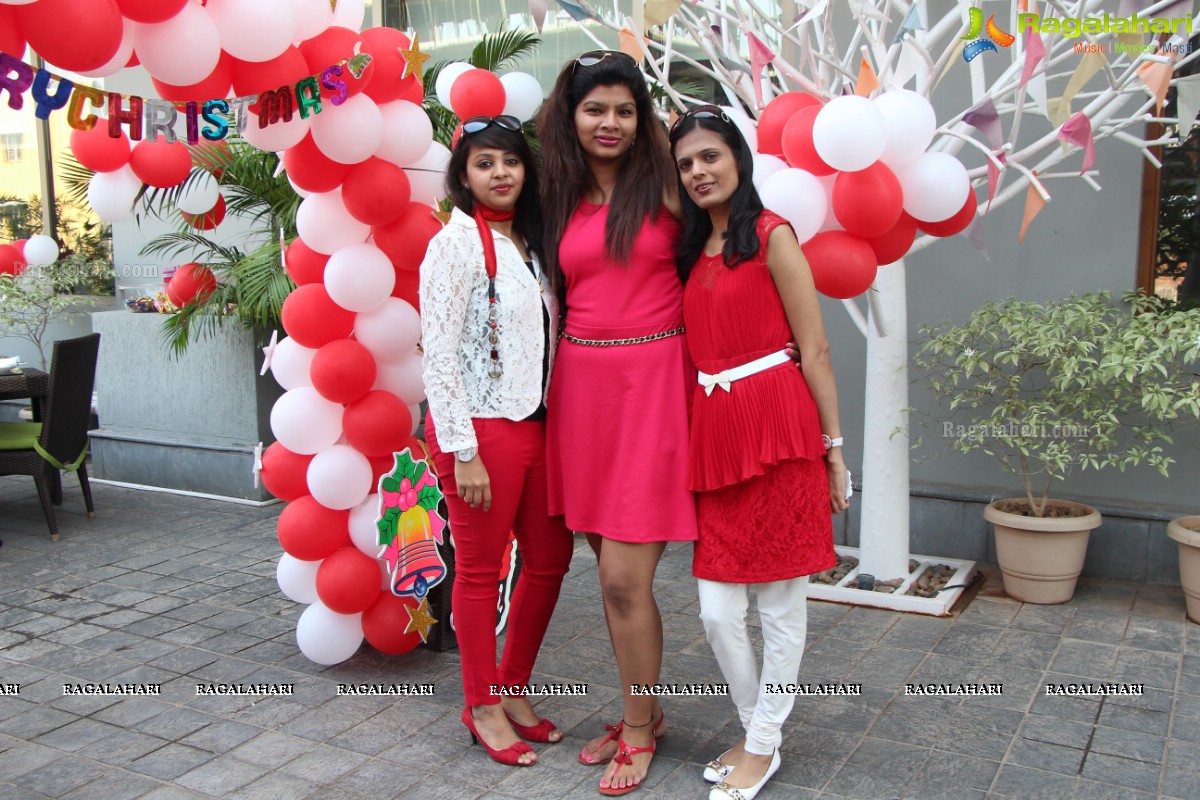 Stylish Divas Christmas Party 2014 at Radisson Blu