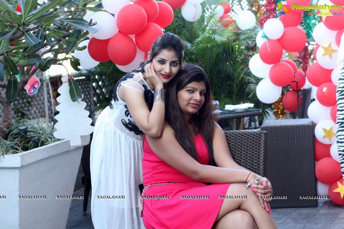 Stylish Divas Christmas Party 2014 at Radisson Blu