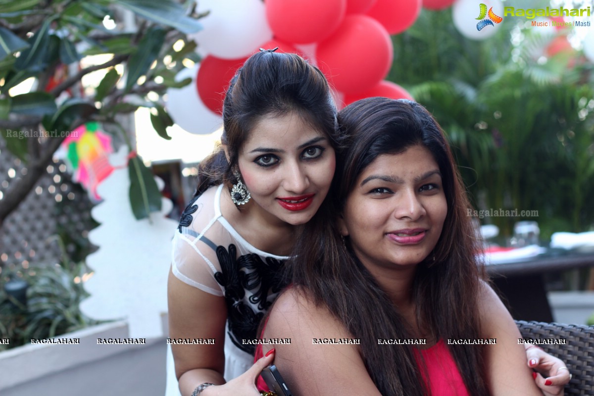 Stylish Divas Christmas Party 2014 at Radisson Blu