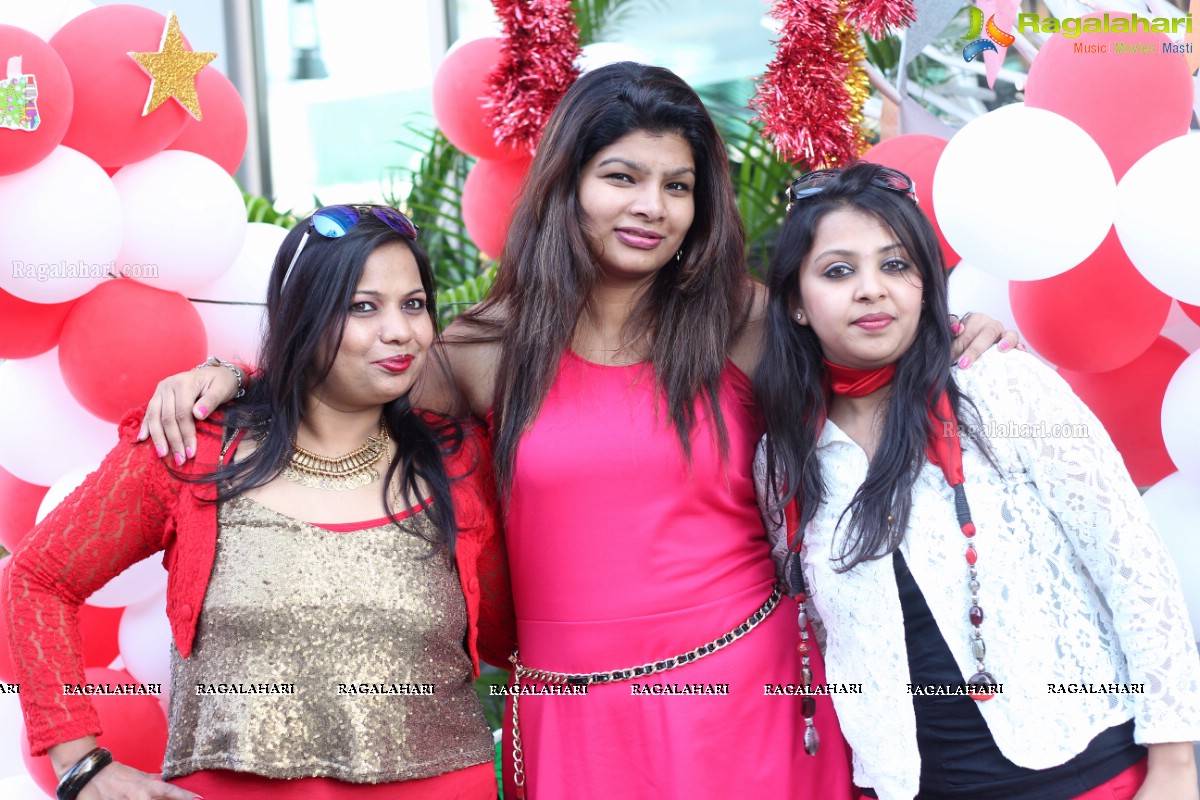 Stylish Divas Christmas Party 2014 at Radisson Blu