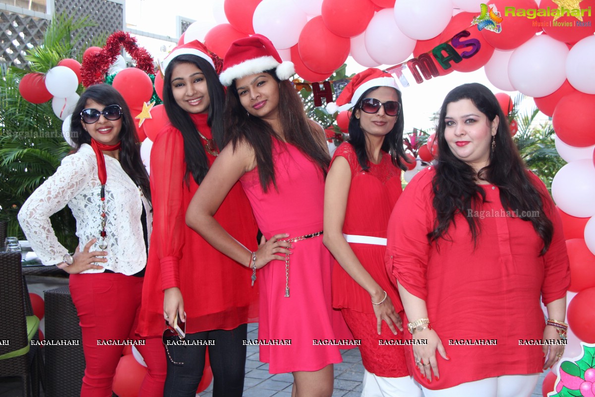 Stylish Divas Christmas Party 2014 at Radisson Blu