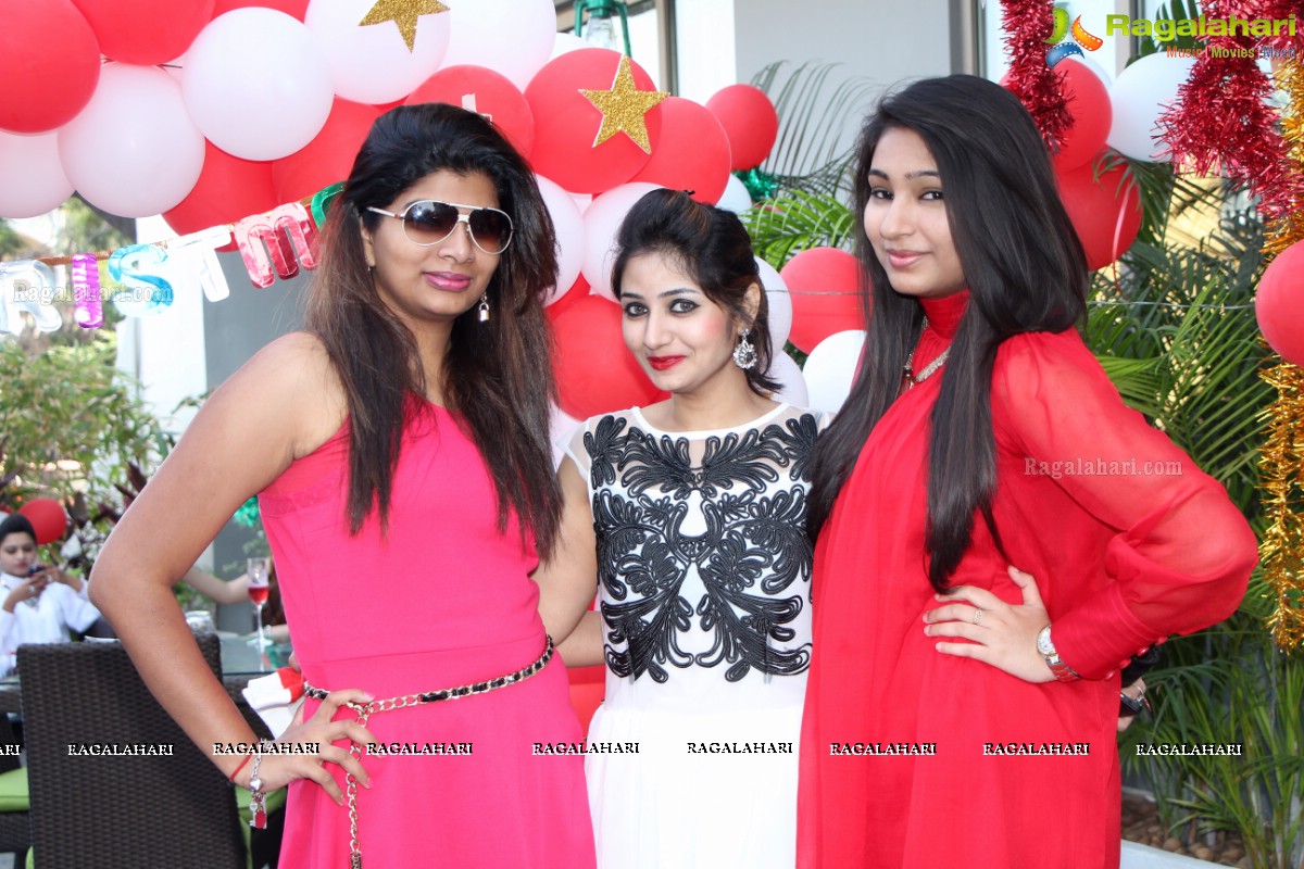 Stylish Divas Christmas Party 2014 at Radisson Blu