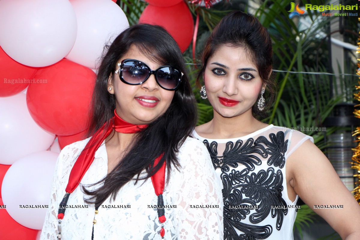 Stylish Divas Christmas Party 2014 at Radisson Blu