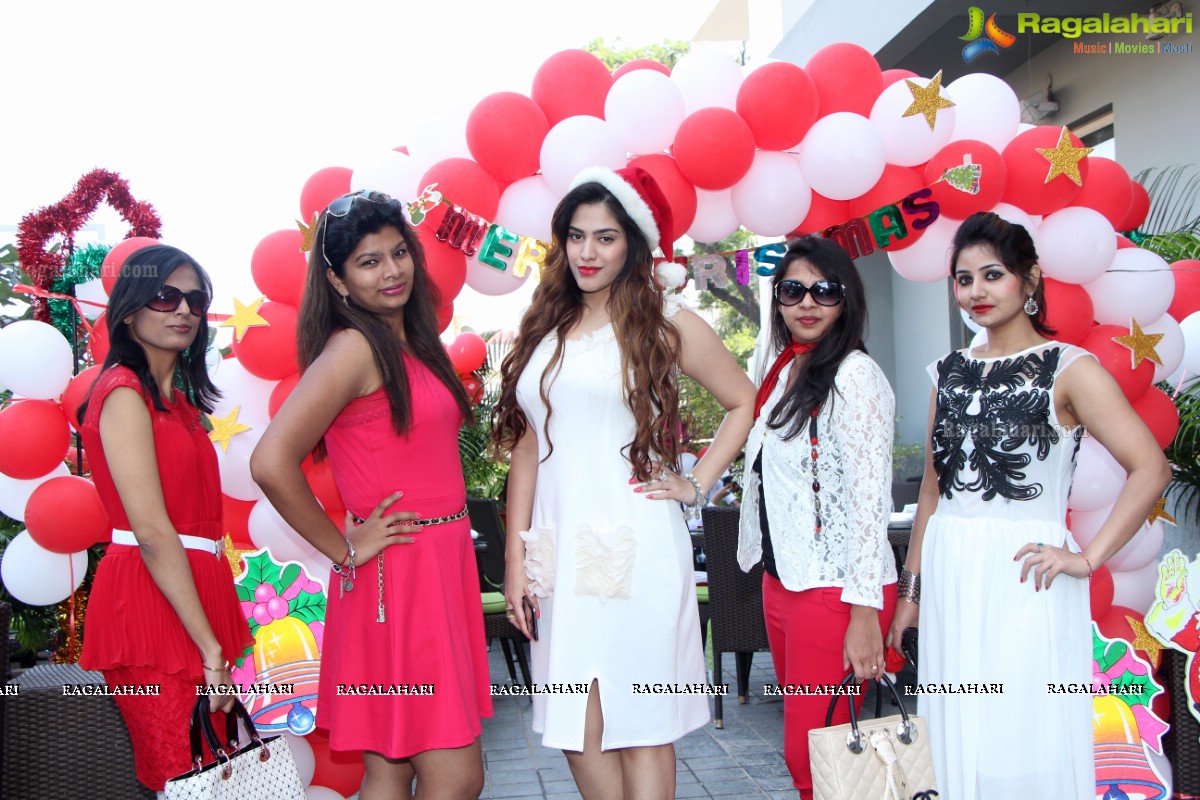 Stylish Divas Christmas Party 2014 at Radisson Blu