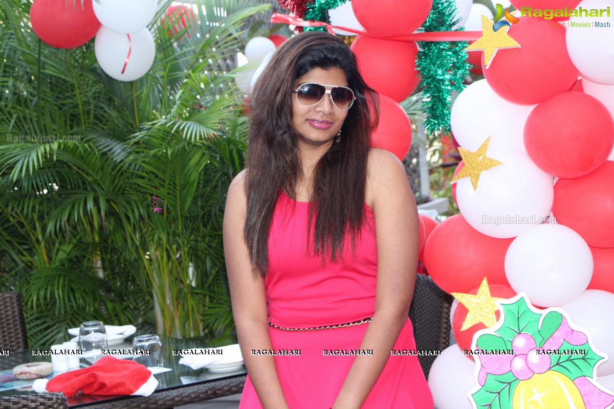 Stylish Divas Christmas Party 2014 at Radisson Blu