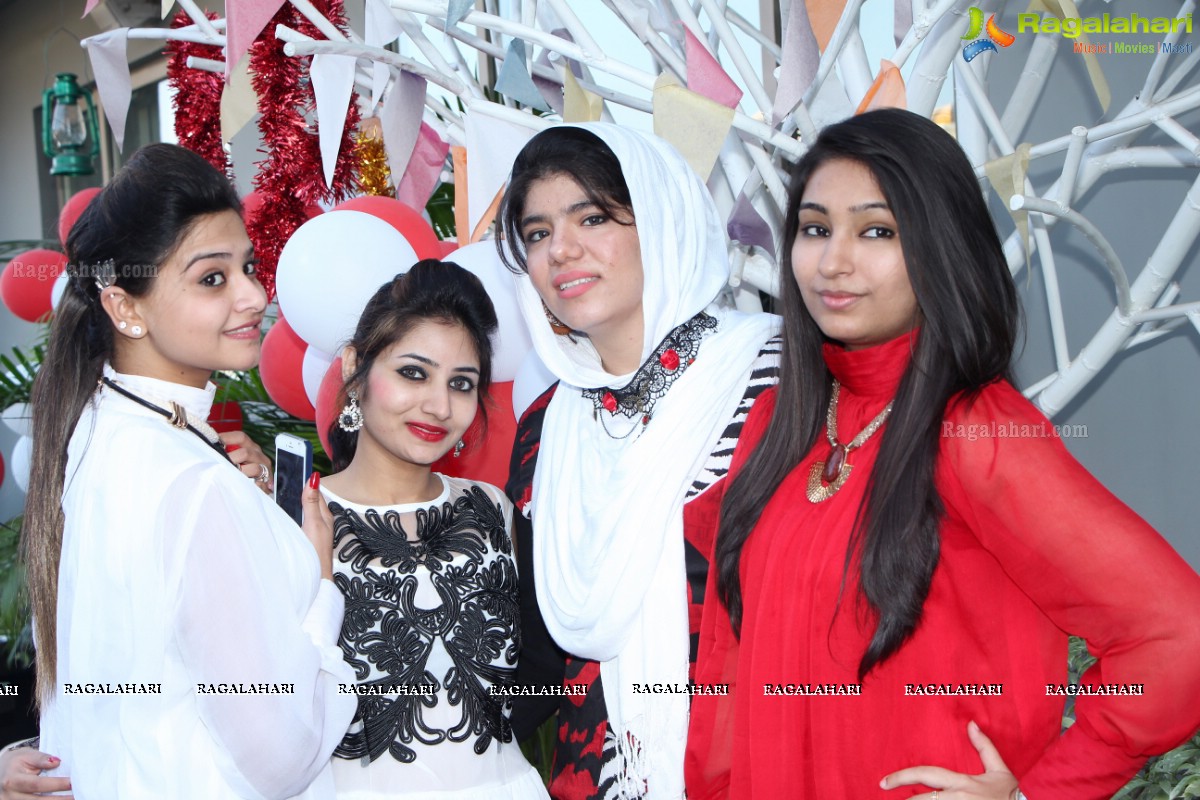 Stylish Divas Christmas Party 2014 at Radisson Blu