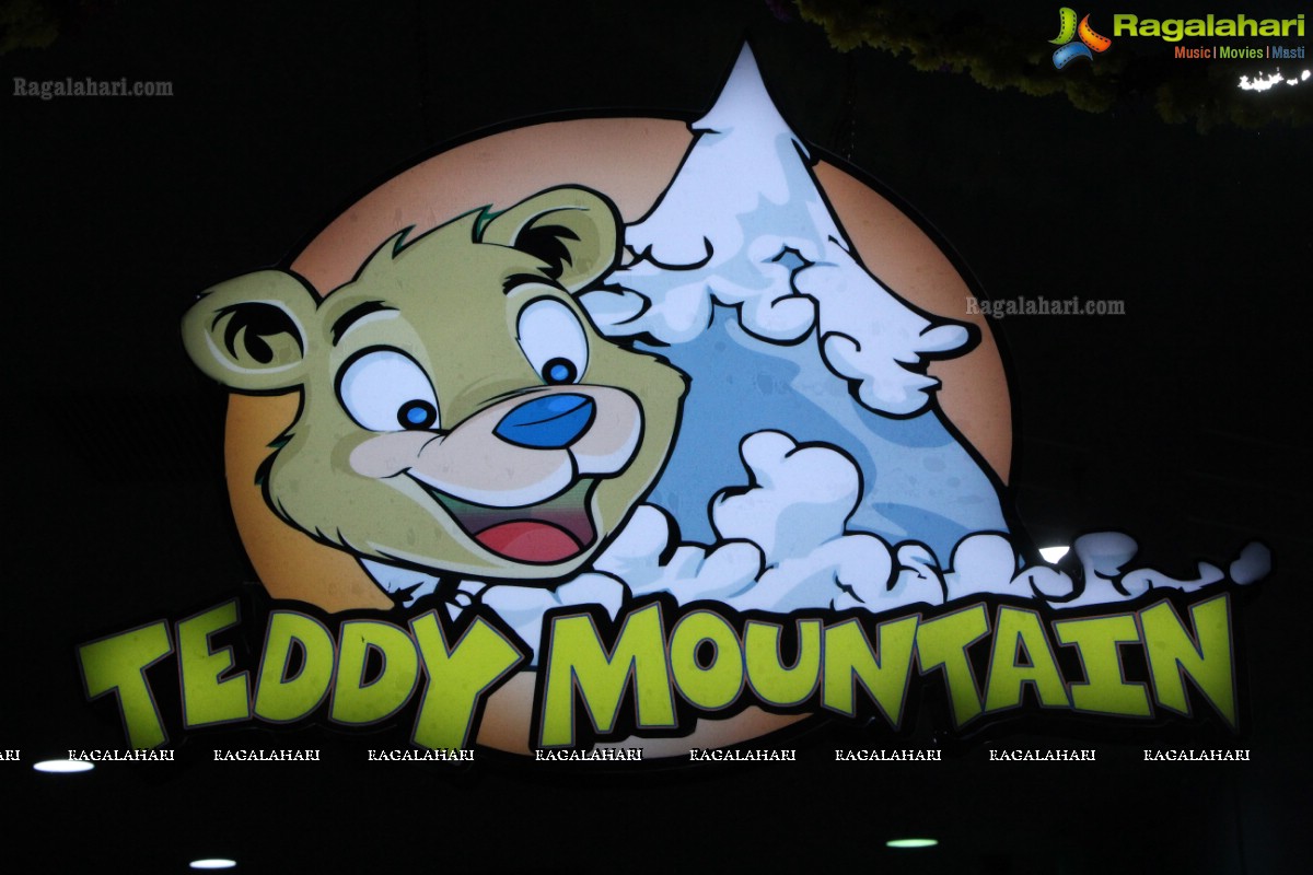 Teddy Mountain India Launch