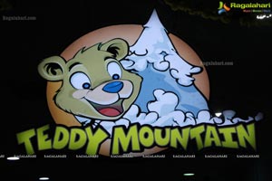 Teddy Mountain India