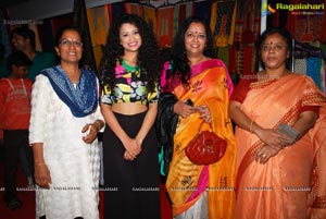 Vivanyas Handloom Exhibition