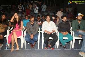 Loafer Success Meet Photos