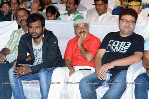 Soukyam Audio Release