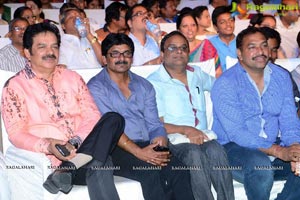 Soukyam Audio Release