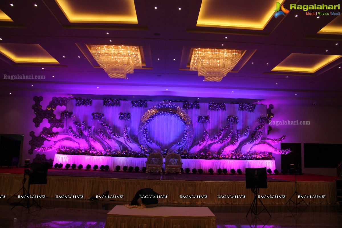 Wedding Reception Of Pankaj-Payal