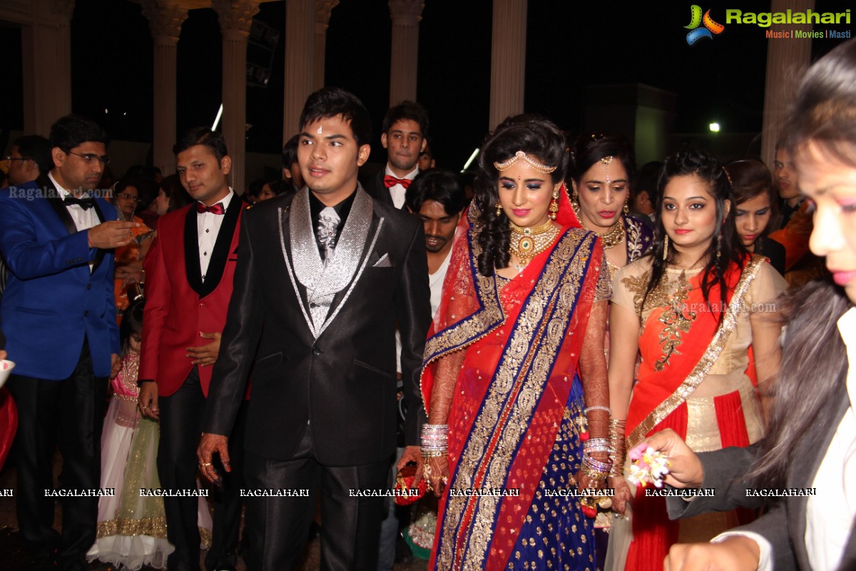 Wedding Reception Of Pankaj-Payal