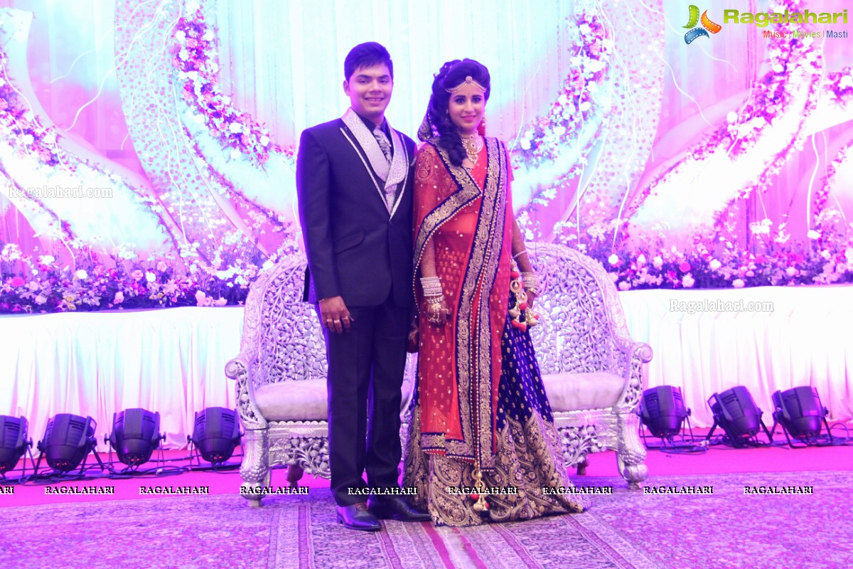 Wedding Reception Of Pankaj-Payal