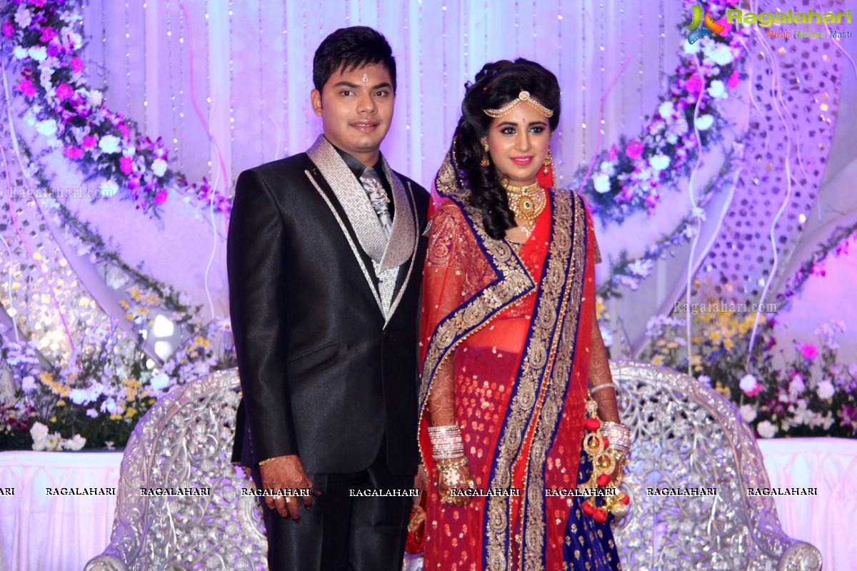 Wedding Reception Of Pankaj-Payal