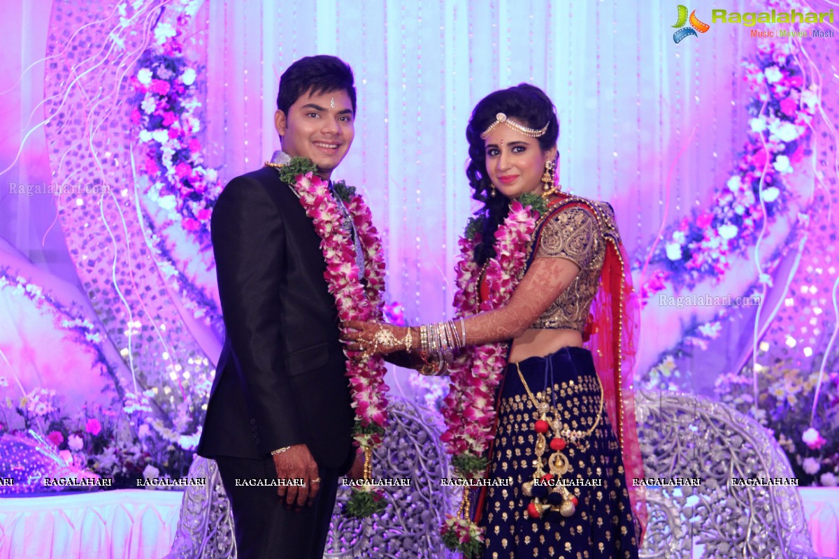 Wedding Reception Of Pankaj-Payal