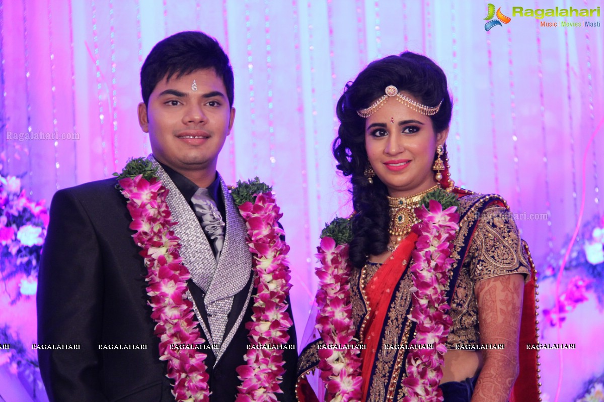 Wedding Reception Of Pankaj-Payal