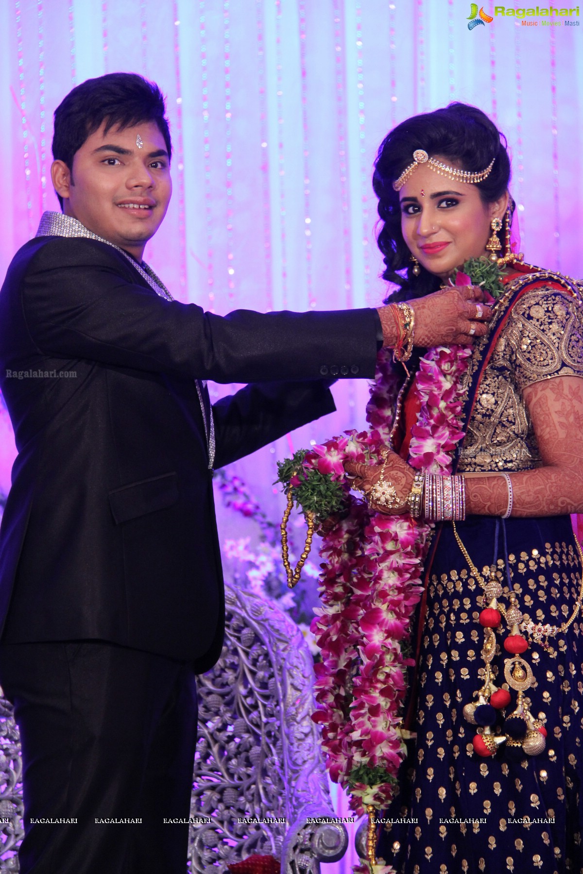 Wedding Reception Of Pankaj-Payal