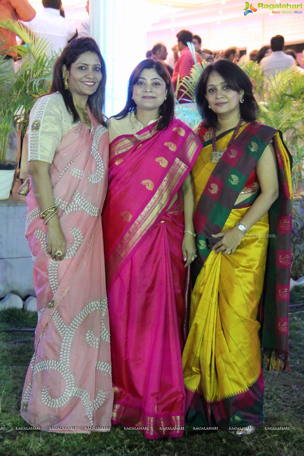 Wedding Reception Of Pankaj-Payal