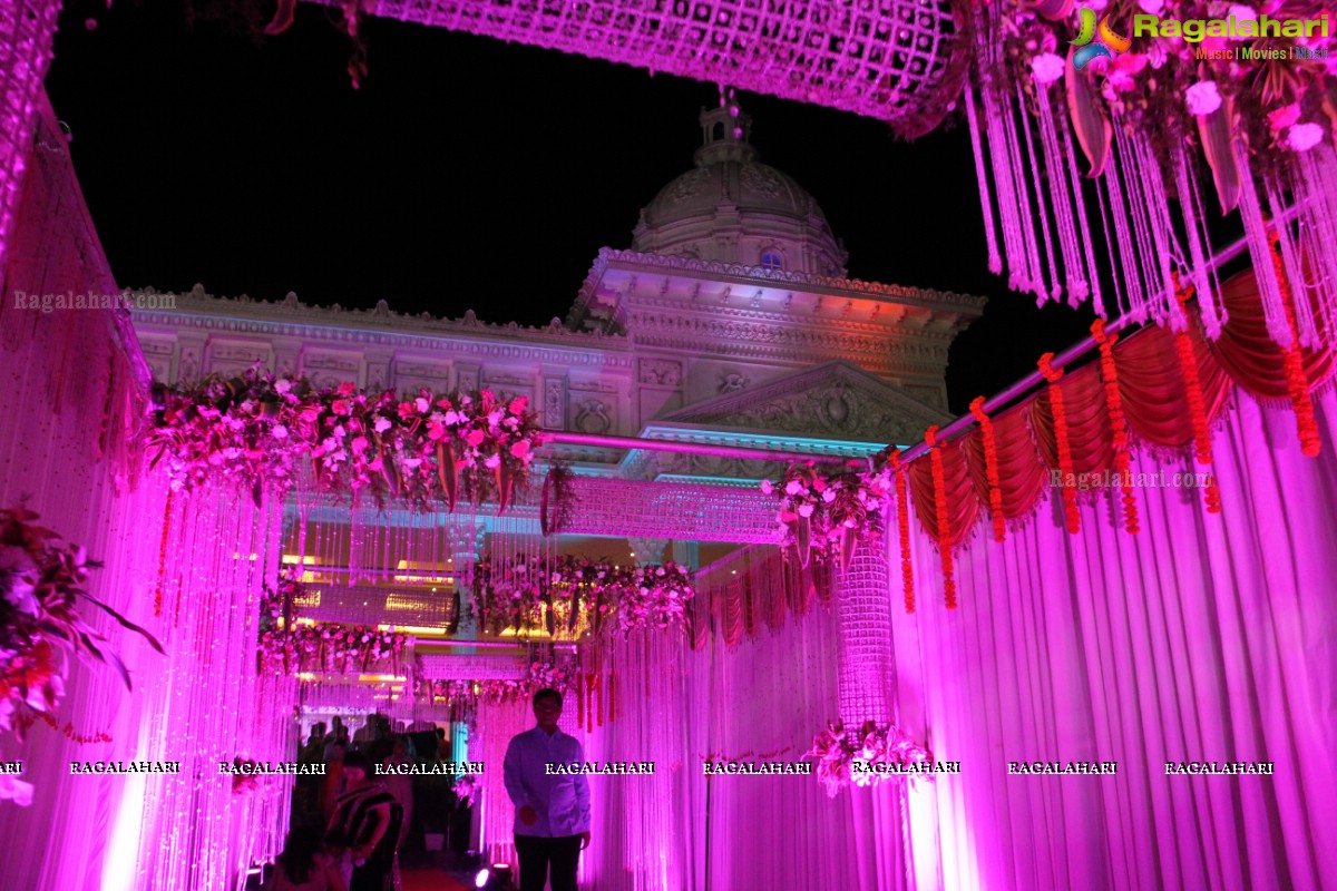 Wedding Reception Of Pankaj-Payal