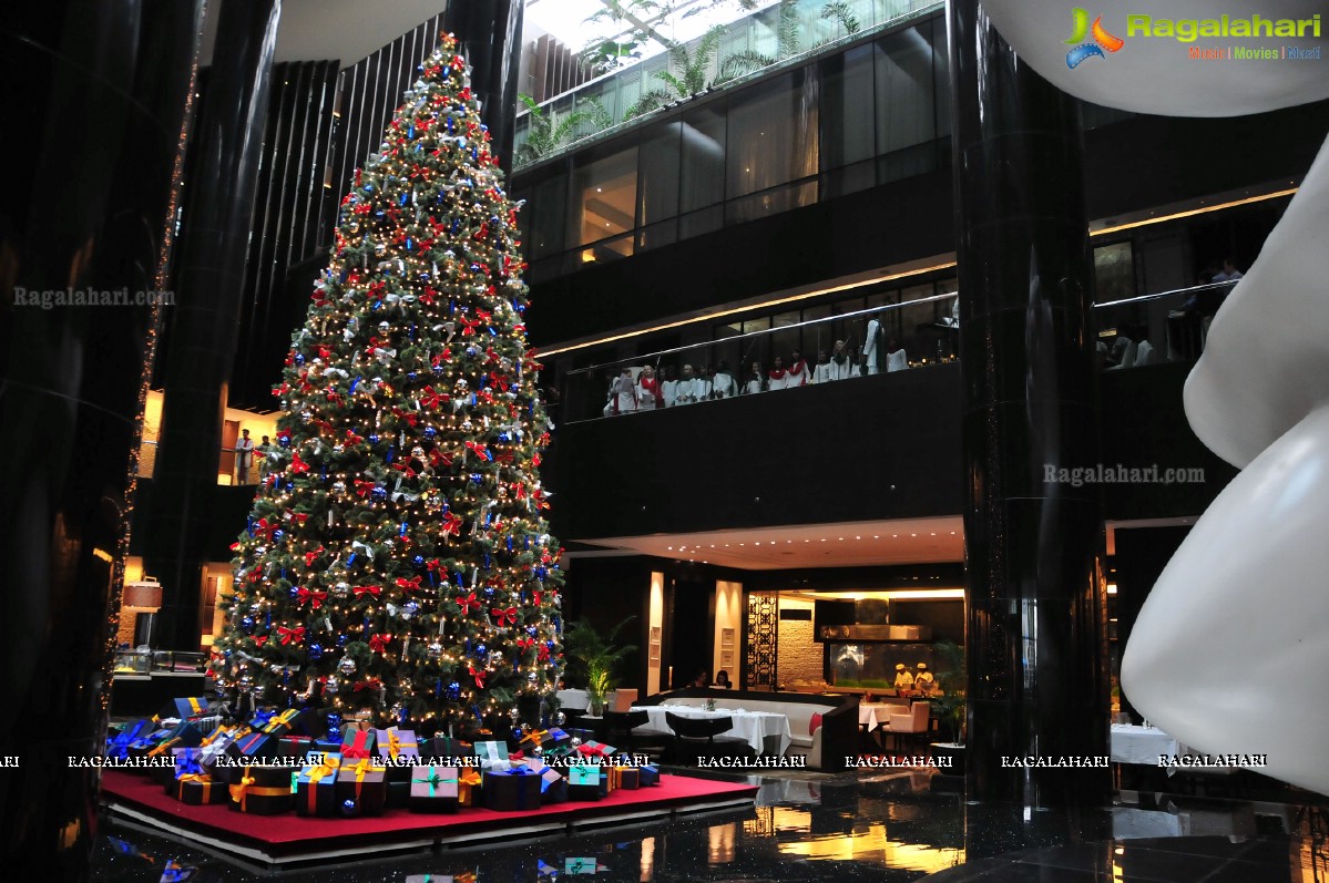 Christmas Annual Tree Lighting Ceremony at Park Hyatt