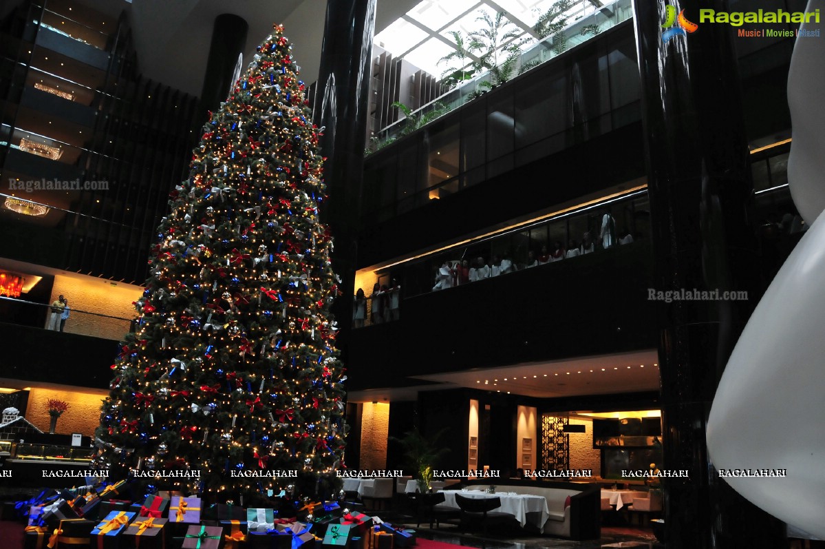 Christmas Annual Tree Lighting Ceremony at Park Hyatt