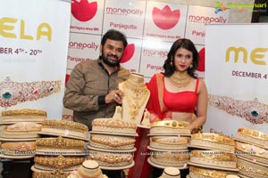 Manepally Jewellers Vaddanam