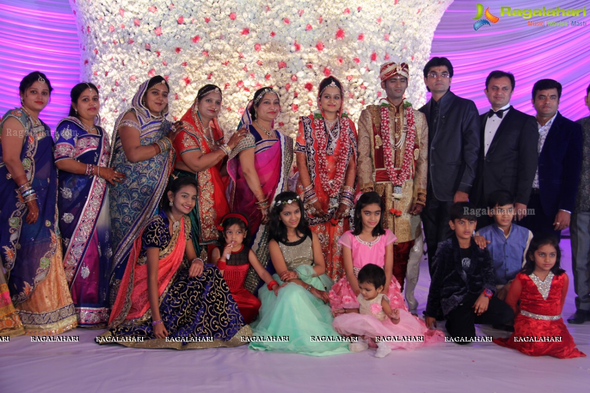 Grand Wedding Reception of Madhuri-Abhishek