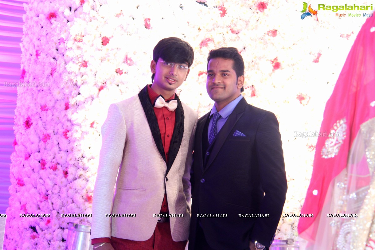 Grand Wedding Reception of Madhuri-Abhishek