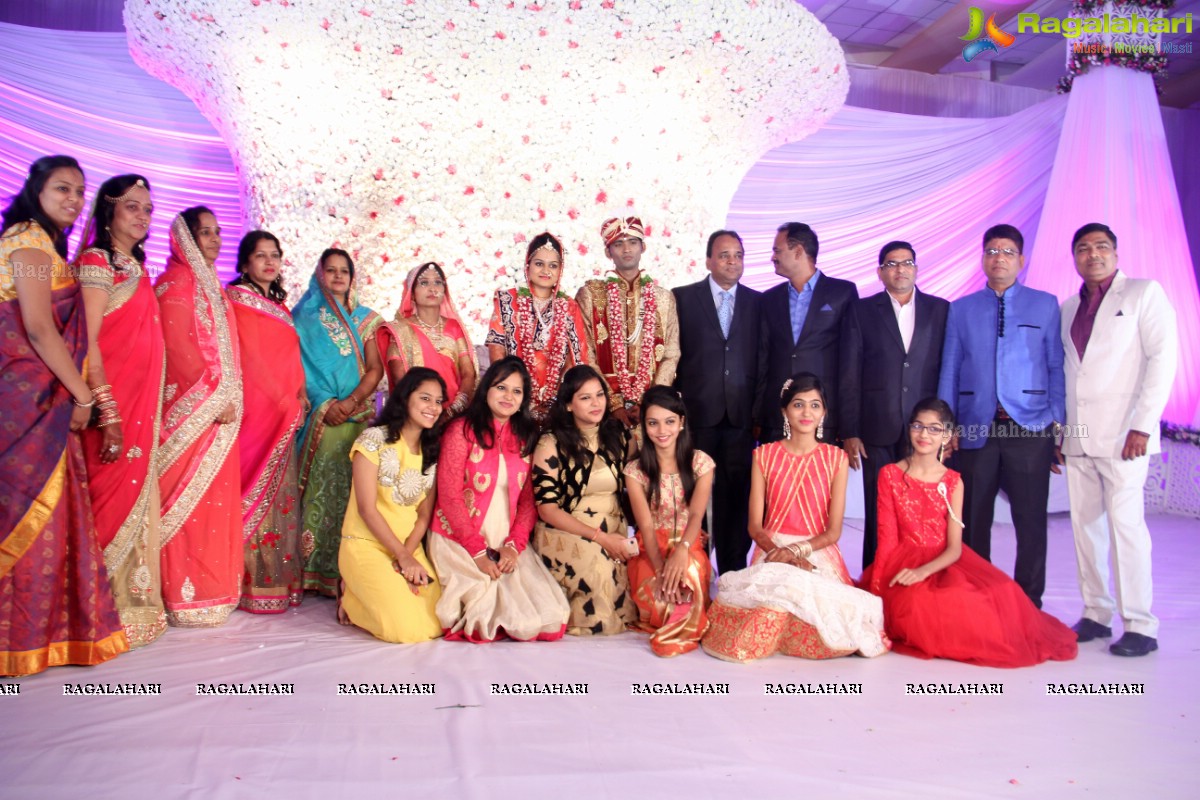 Grand Wedding Reception of Madhuri-Abhishek