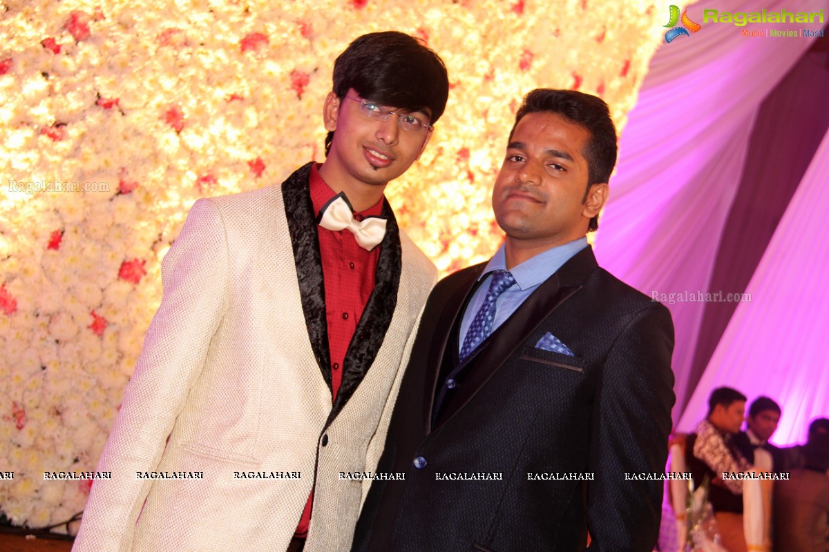 Grand Wedding Reception of Madhuri-Abhishek