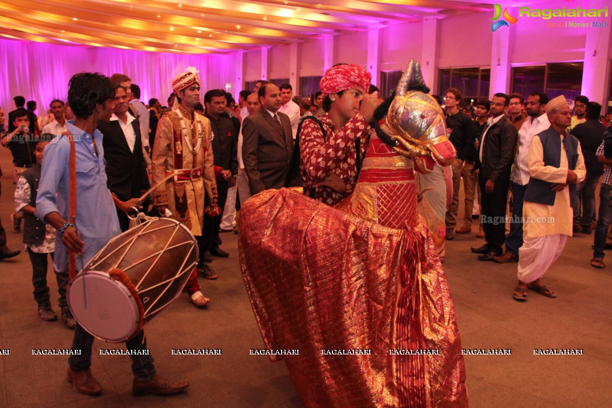 Grand Wedding Reception of Madhuri-Abhishek