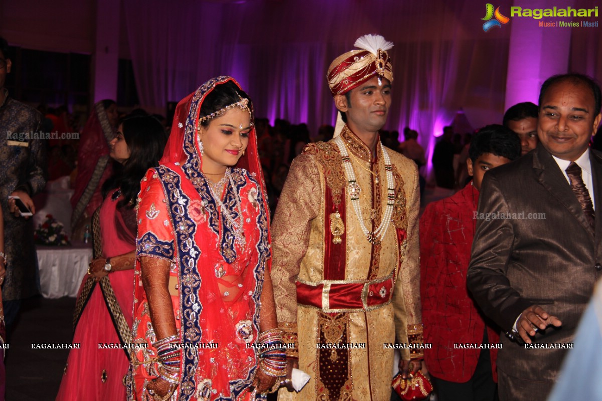 Grand Wedding Reception of Madhuri-Abhishek