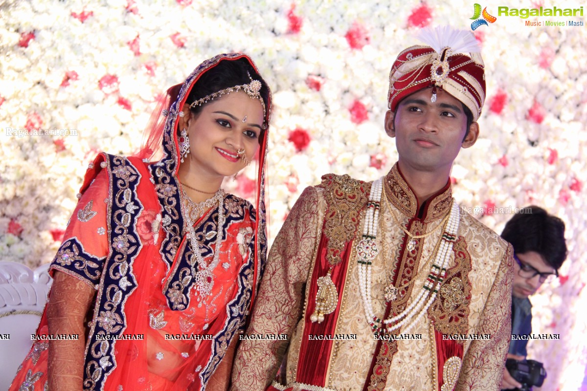 Grand Wedding Reception of Madhuri-Abhishek